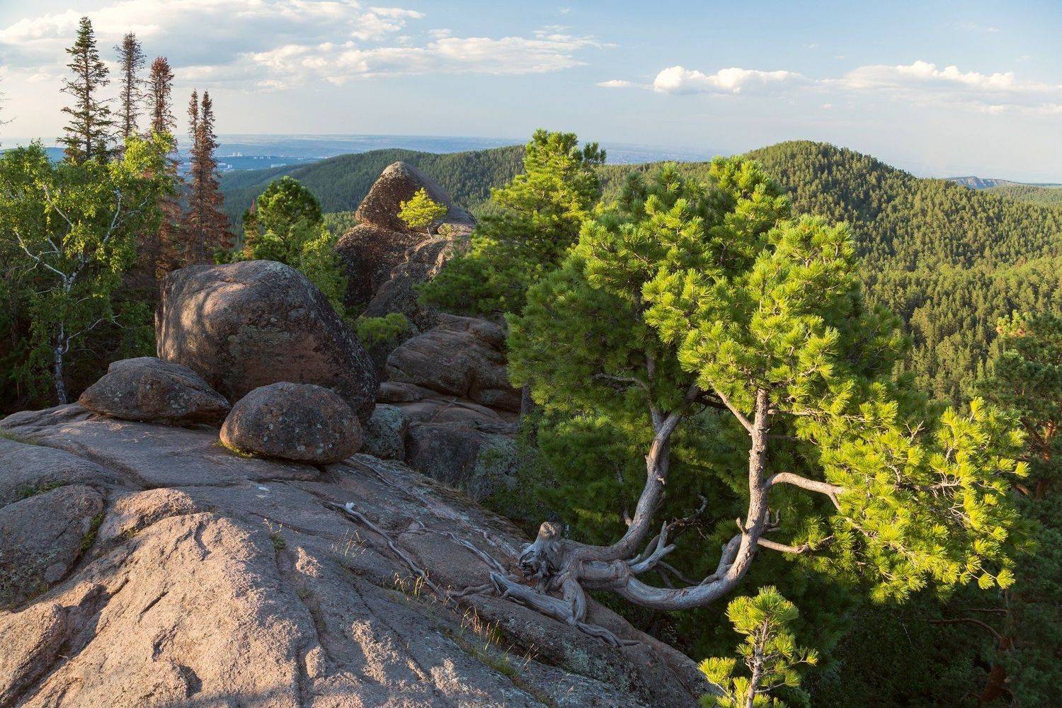 Львиные Вотота, Столбы, скалы, Виктор Зайцев