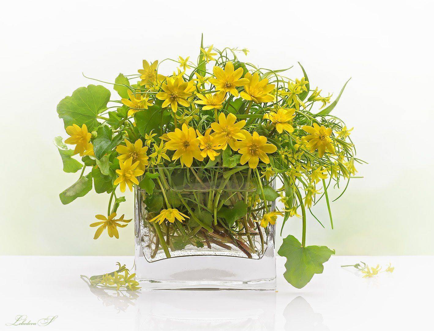 букет, весна, натюрморт, цветы, Светлана Л.