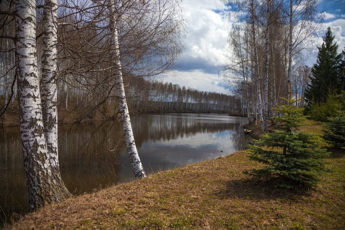 , Kuchkai_murza