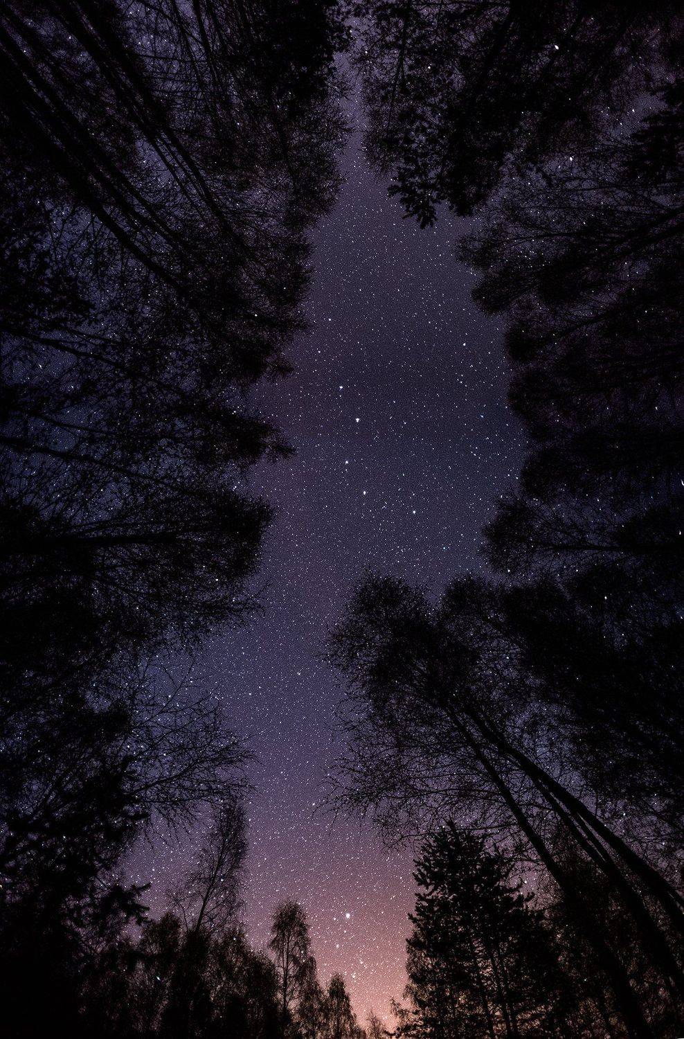 , Алексей Чистяков