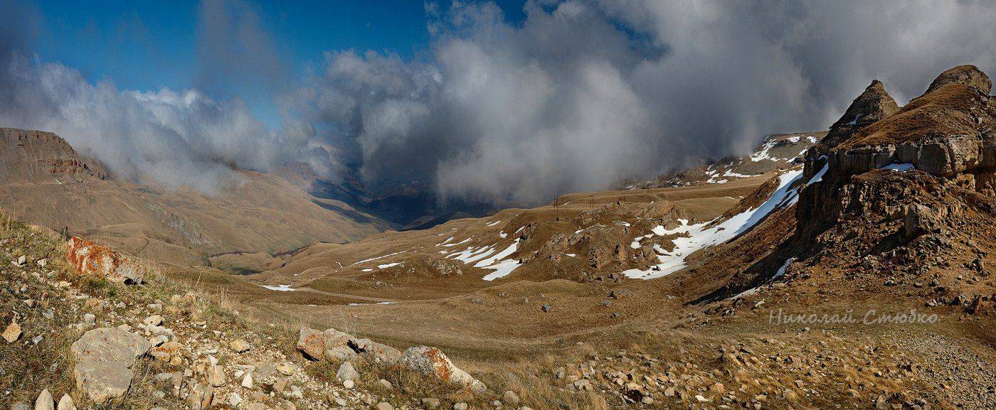 , Николай Стюбко