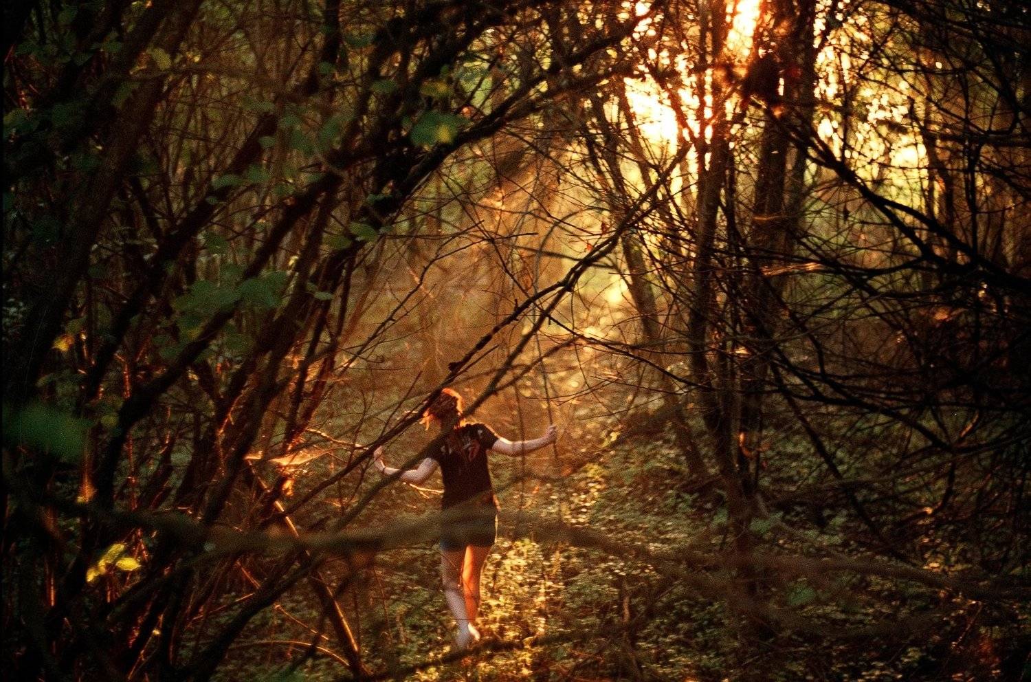 , Медведев Александр