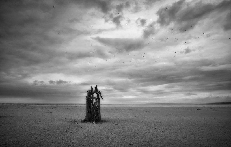 Мы вышли в океан за сутки до рассвета... фото превью