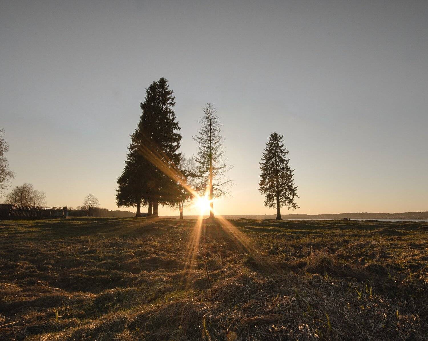 природа,солнце,вятка,тепло, Карепанов Евгений