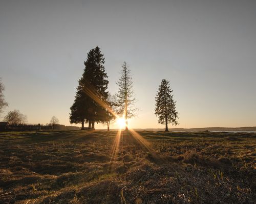 на встречу солнцу 2