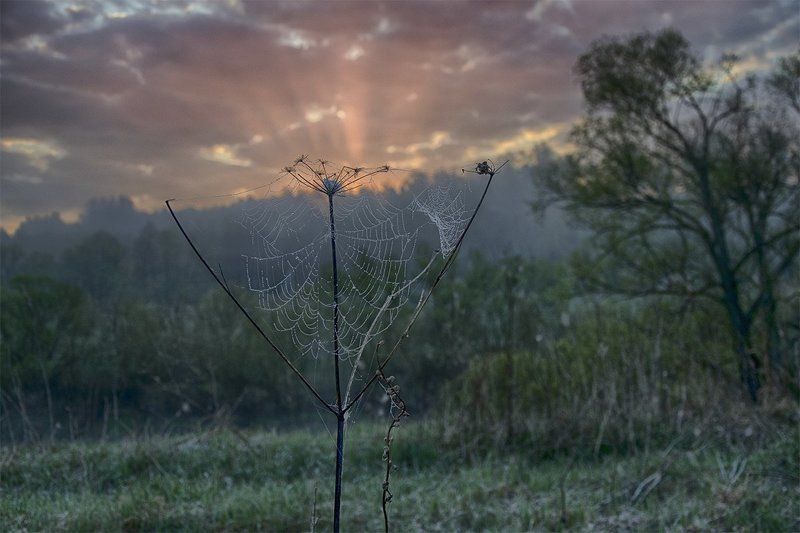 Весна, Май, Небо, Ока, Природа, Рассвет, Река, Россия, Тульская область, Утро Майское утро фото превью