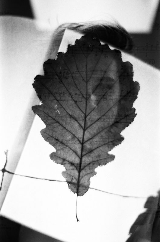 koshkinotime, dmitriysosna, sosna * * * фото превью