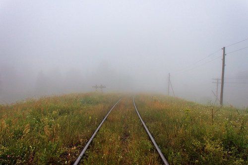 Утренний туман