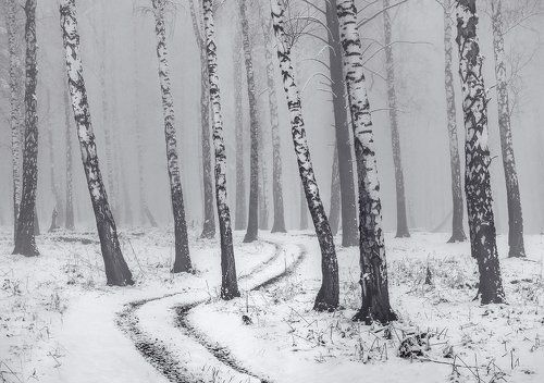 Сибирская весна