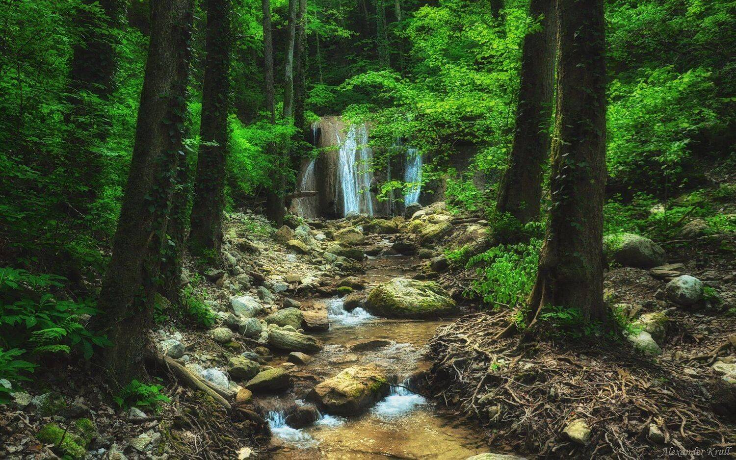 Кавярзе, Александр Круль