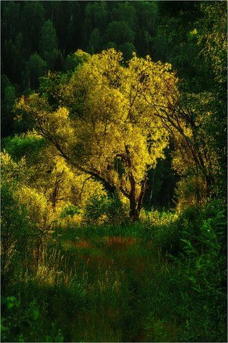 В золоте заката!  ! 