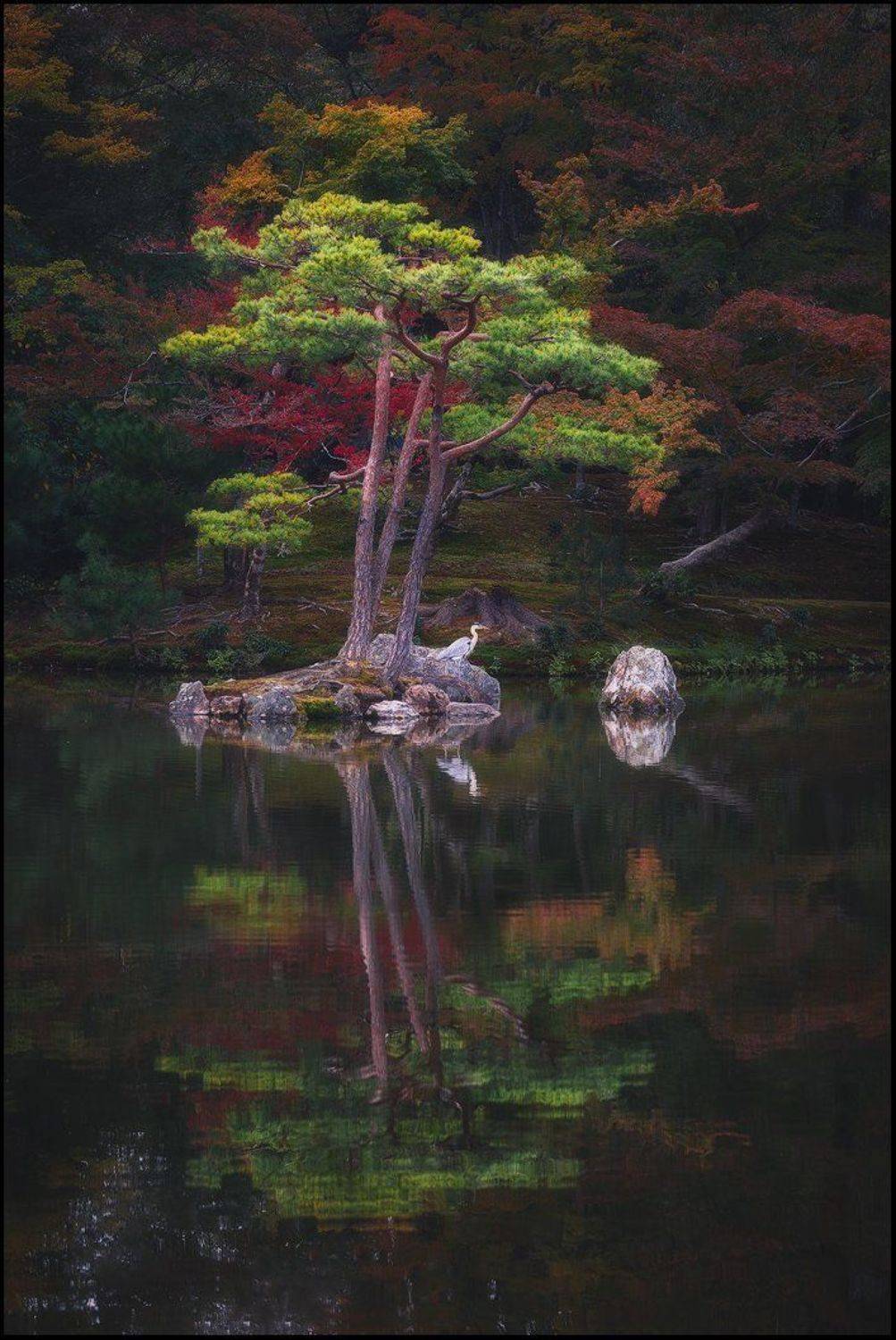 , Минаев Павел