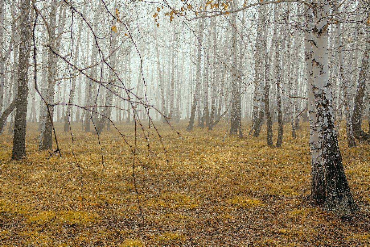 , Николай Морский