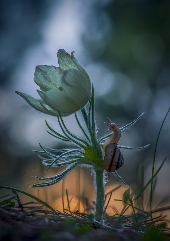 Провожая день фото превью