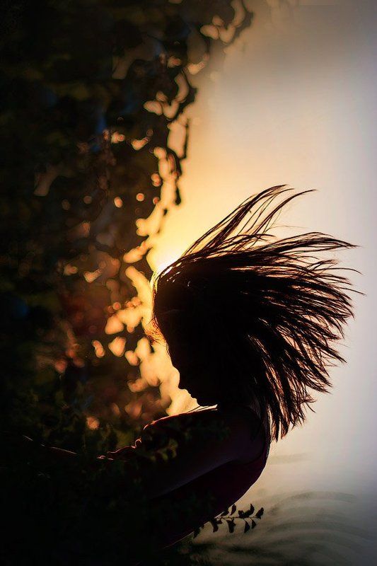 Дикобраз фото превью