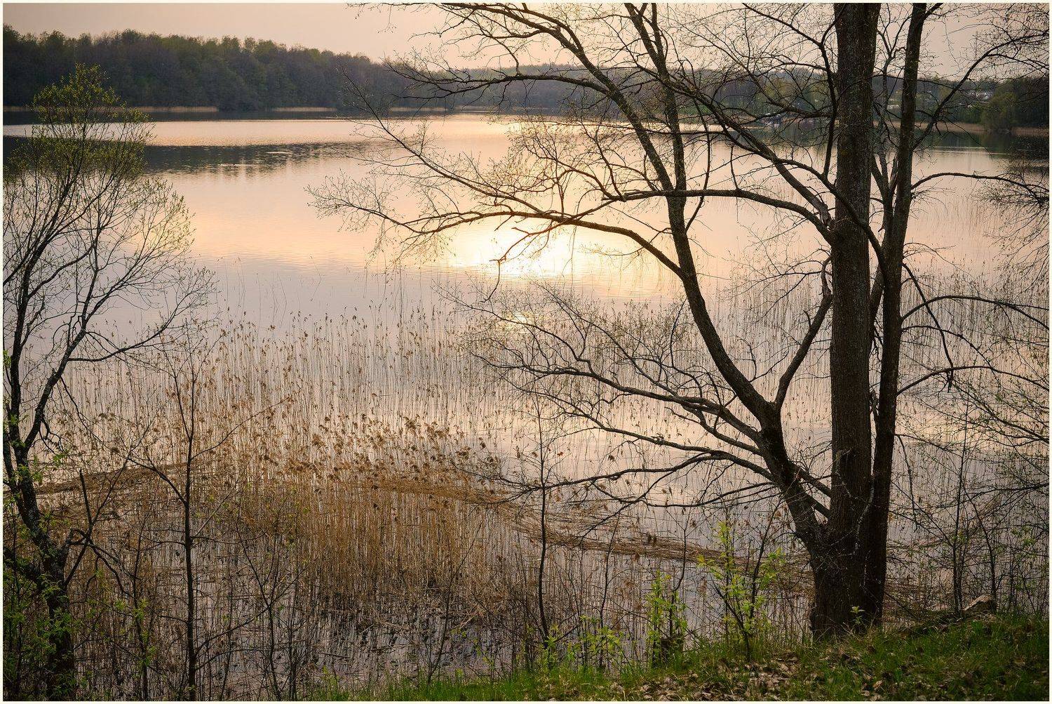 Баклановское озеро, Весна, Вечер, Красивый вечер, Май, Национальный парк, Озеро, Отражение, Панорама, Пейзаж, Природа, Розовый закат, Смоленское Поозерье, Лидия Киприч