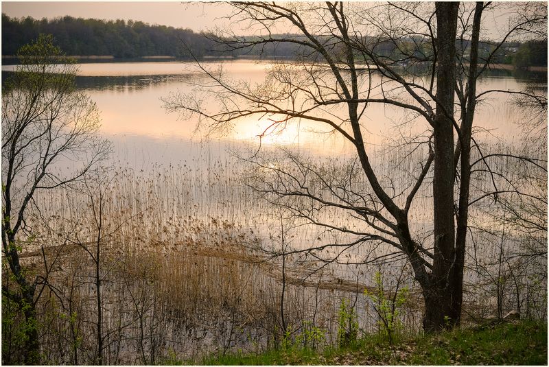 Баклановское озеро, Весна, Вечер, Красивый вечер, Май, Национальный парк, Озеро, Отражение, Панорама, Пейзаж, Природа, Розовый закат, Смоленское Поозерье над озером фото превью