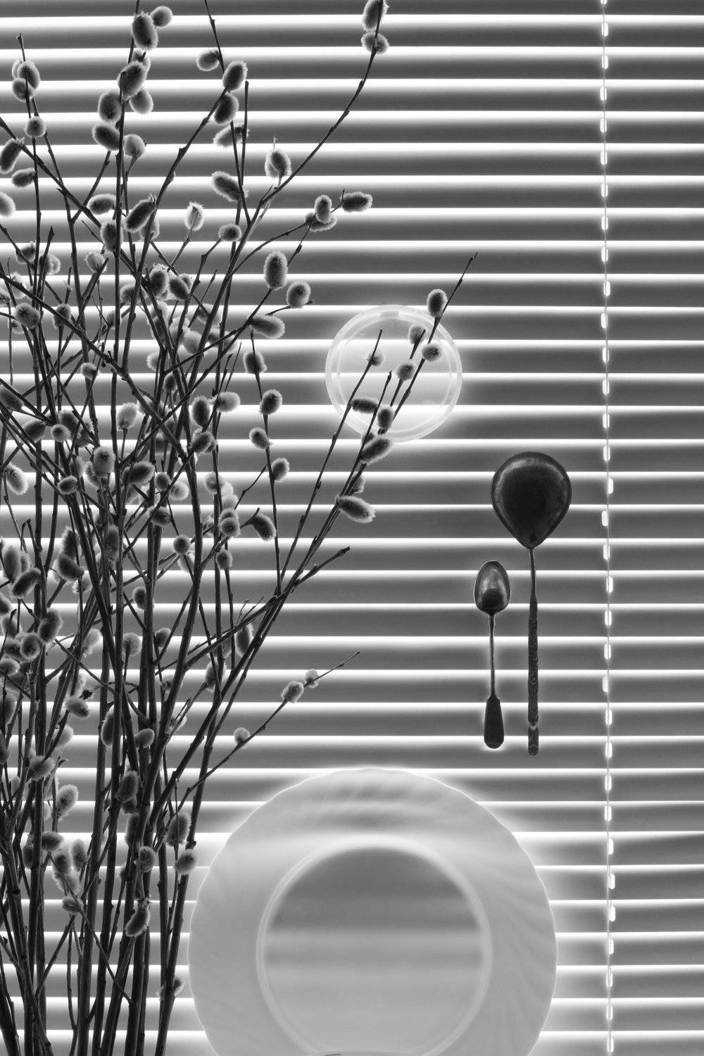 , Динеева Анна