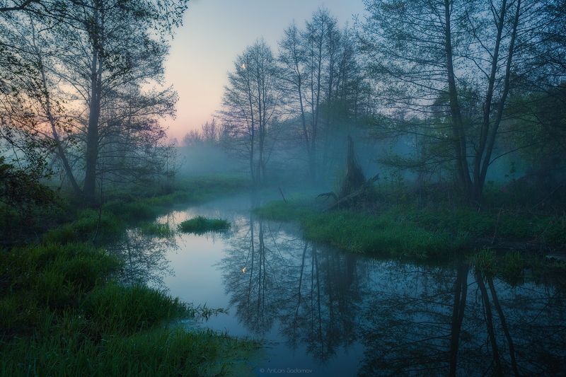 Идолга, Пейзаж, Река, Саратов, Туман, Утро Утро на малой Идолге фото превью