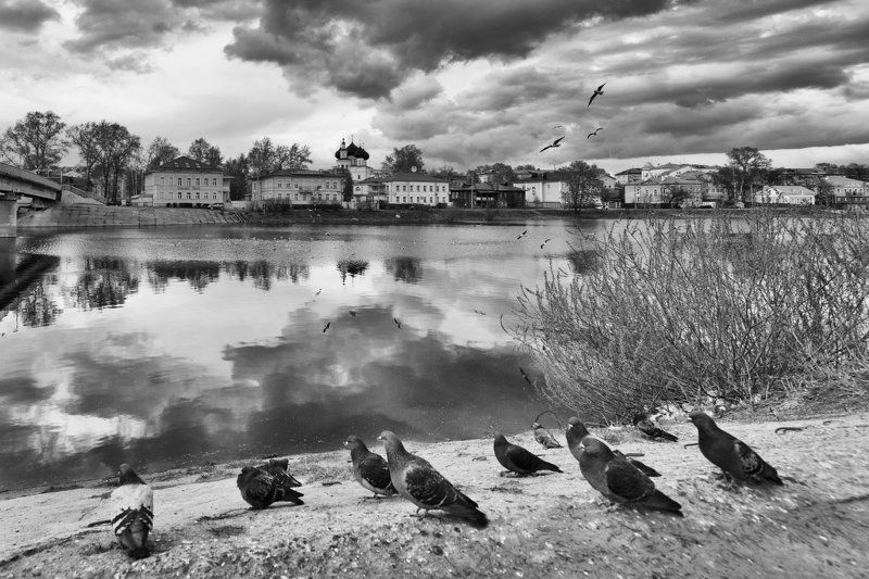 Вологда, город, набережная, река, отражение, улица Голуби фото превью