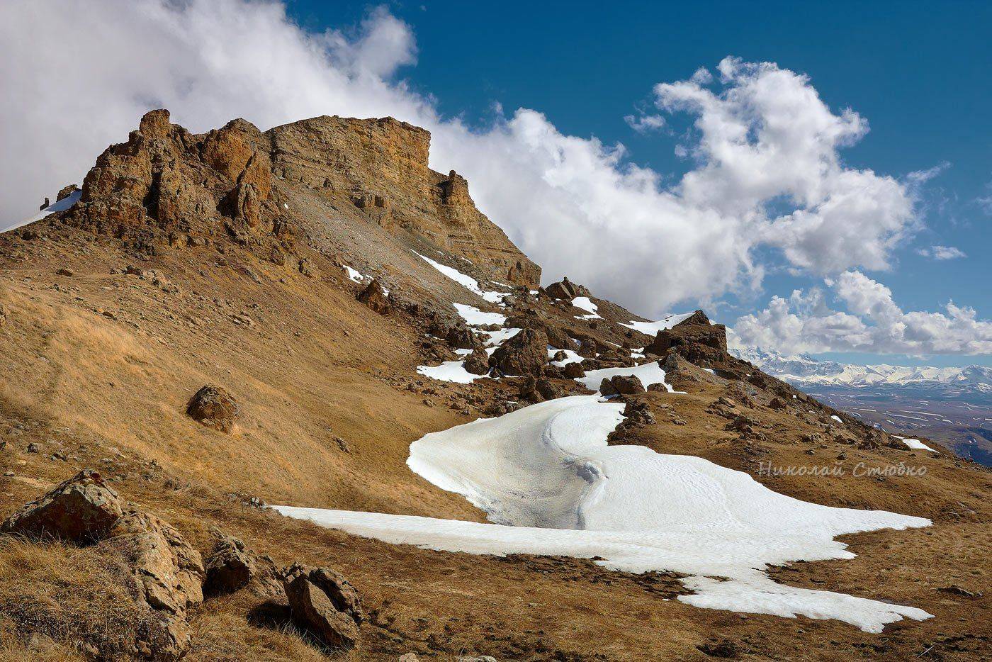 , Николай Стюбко