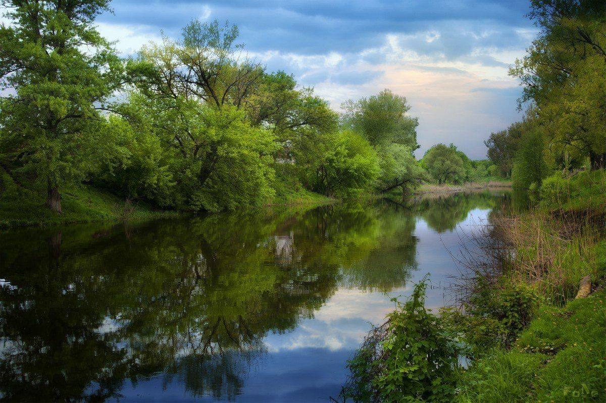 , FoNe