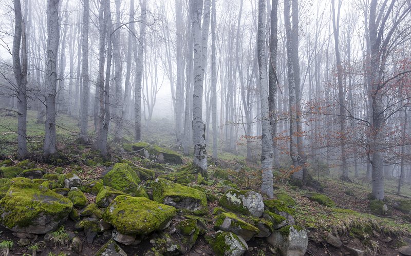 Quiet - calming fog фото превью