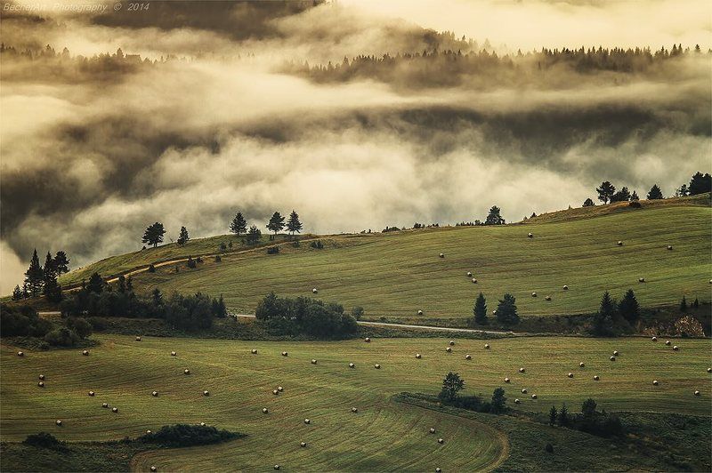 Kingdom Of Heaven XVII фото превью