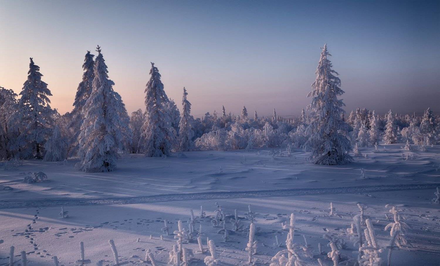 Canon, Природа, Север, Сибирь, Евгений Кужилев