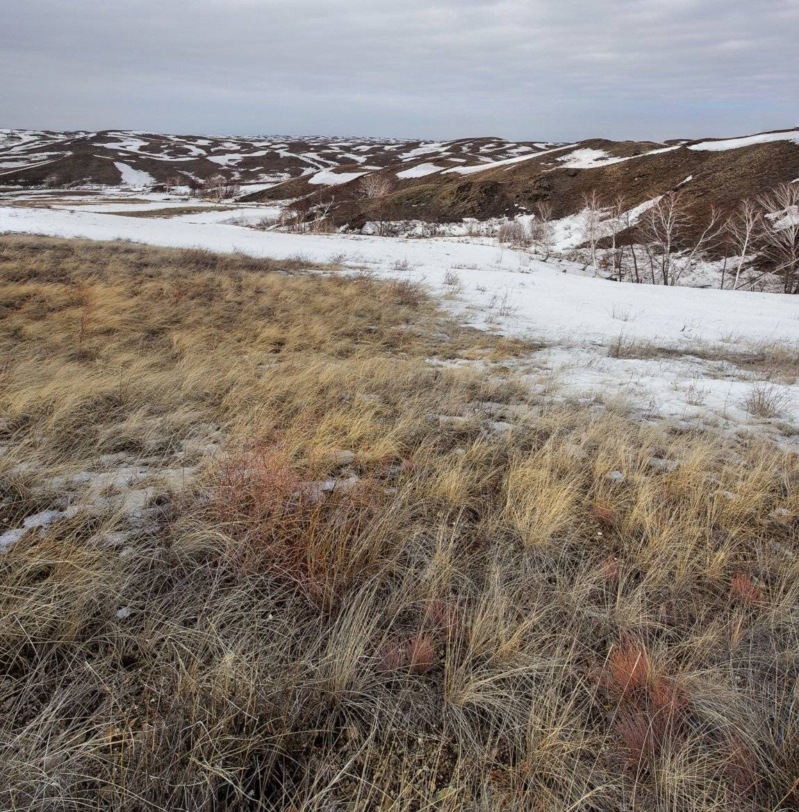 , Качурин Алексей