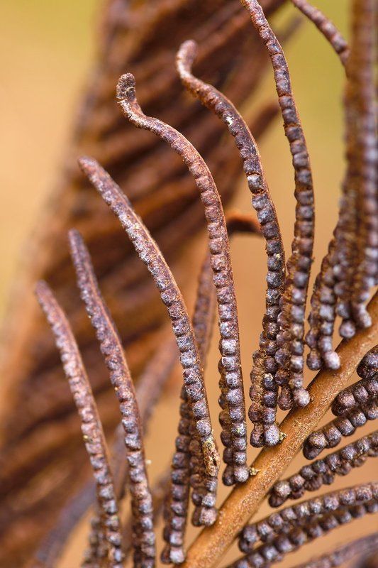 Геометрия замкнутых пространств фото превью