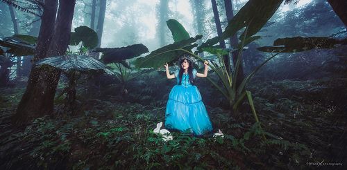 in forest