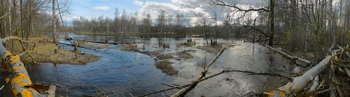 Pro половодье на Мещёрской реке...