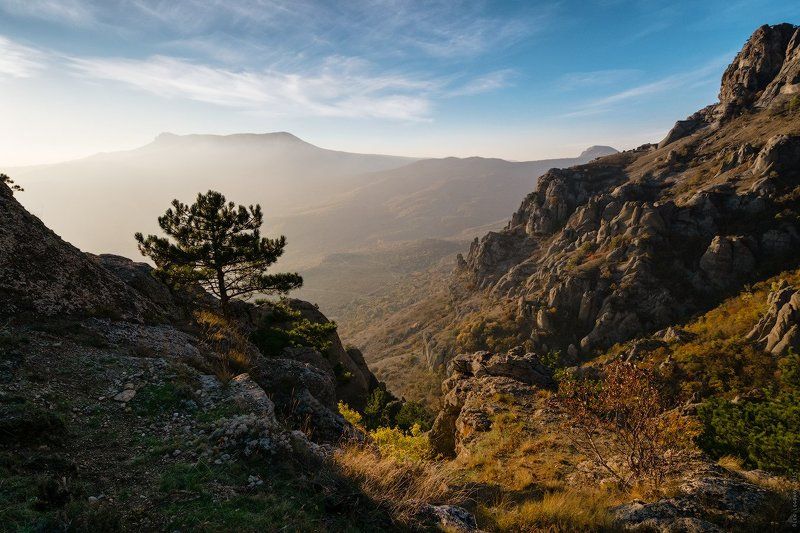 _ фото превью