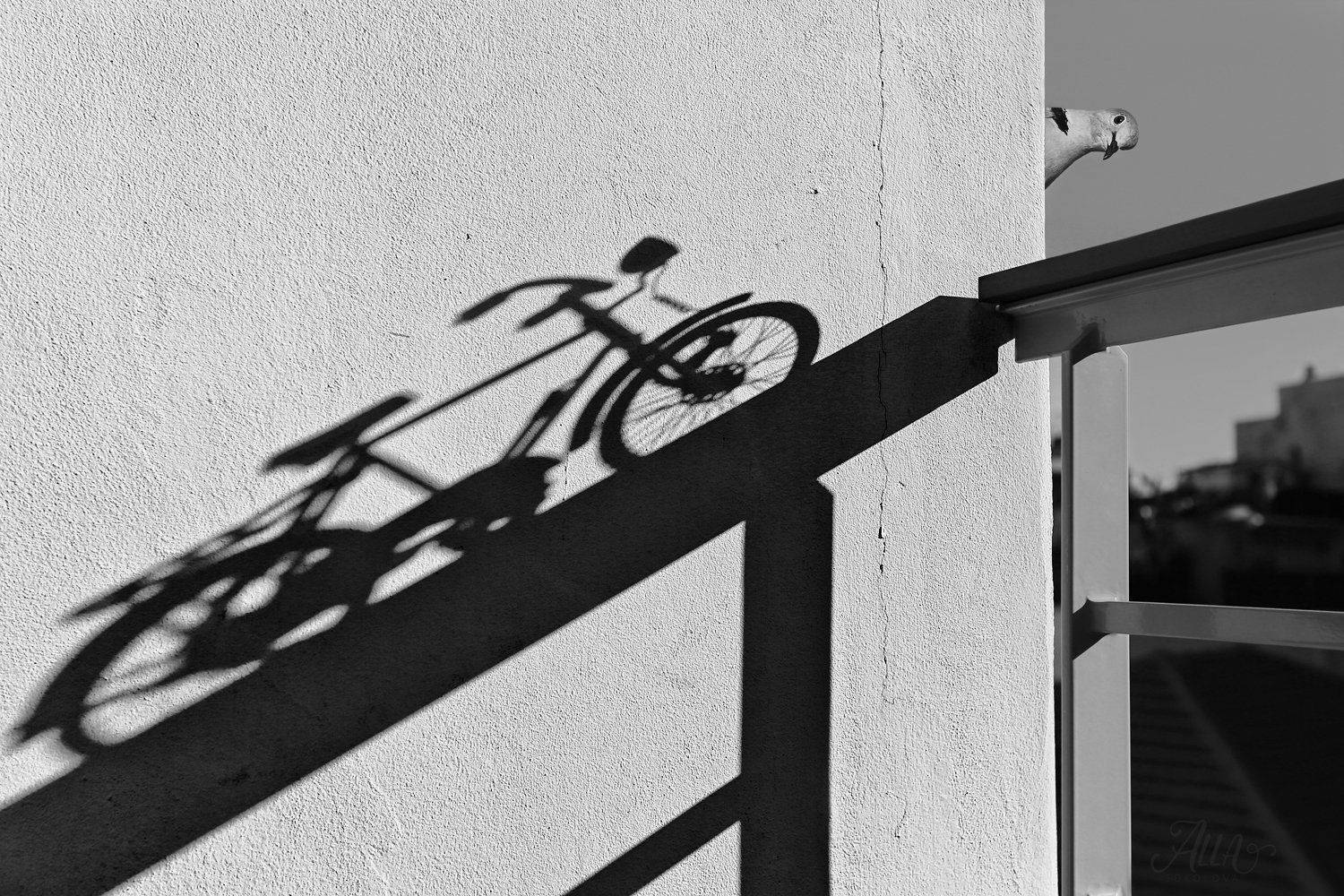 Балкон, Велосипед, Горлица, Тень, ALLA SOKOLOVA