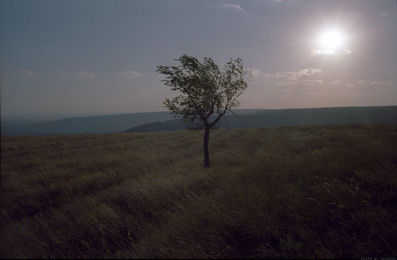 Осенний пейзаж. фото превью
