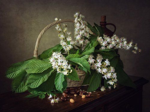Про каштаны