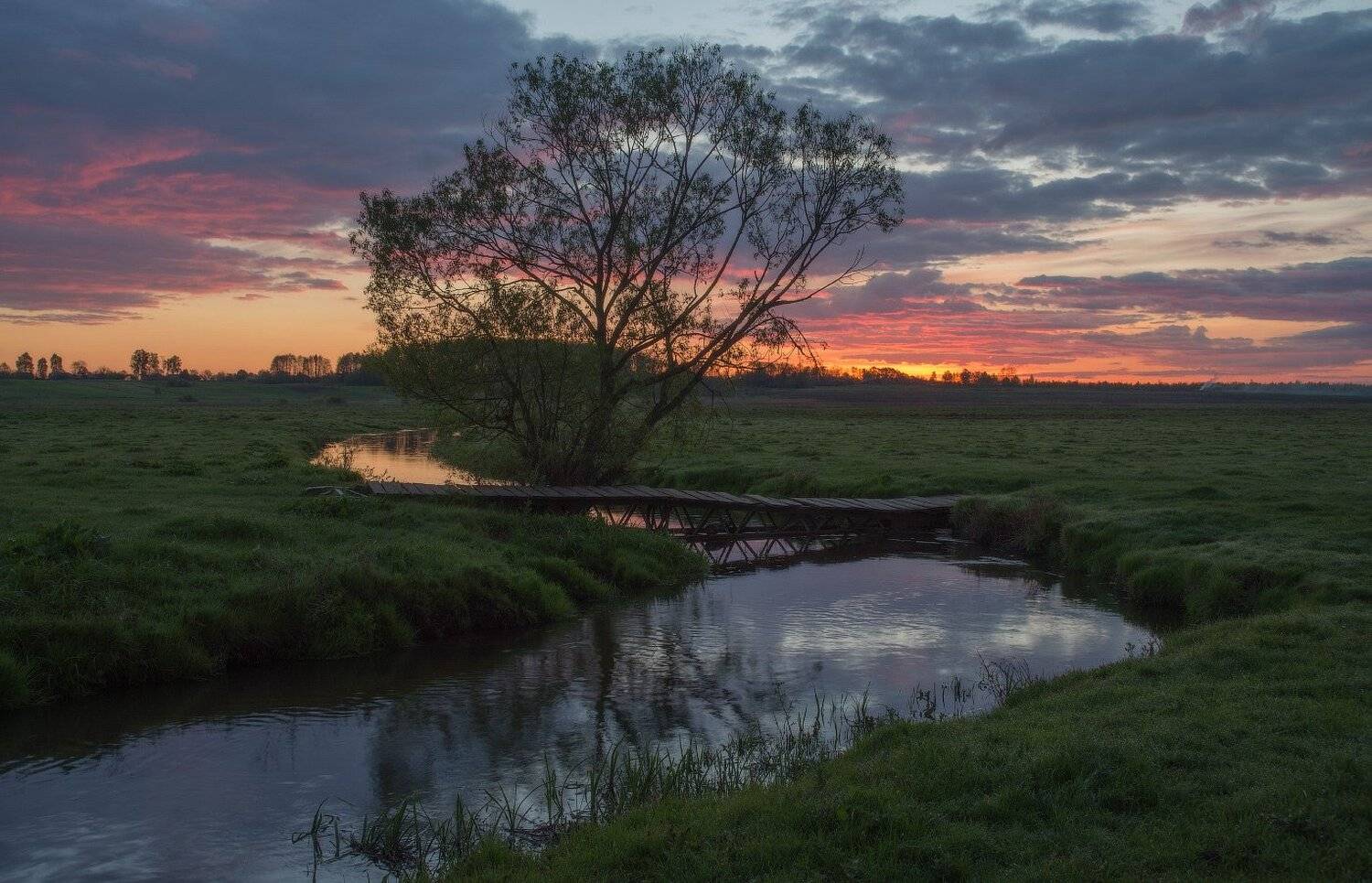Берег, Весна, Облака, Отражения, Рассвет, Река, Трава, Утро, Сергей Добровольский