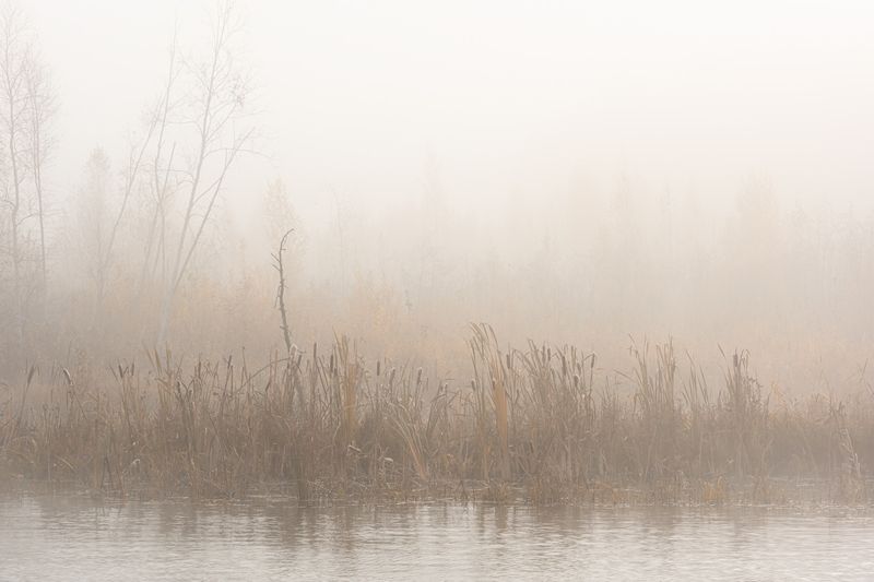 пейзаж, озеро, туман, утро, осень Туманное утро фото превью