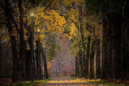 На Замковой аллее.