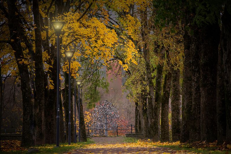 нарва осень октябрь аллея На Замковой аллее. фото превью