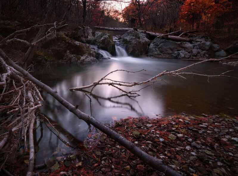 Дебри фото превью