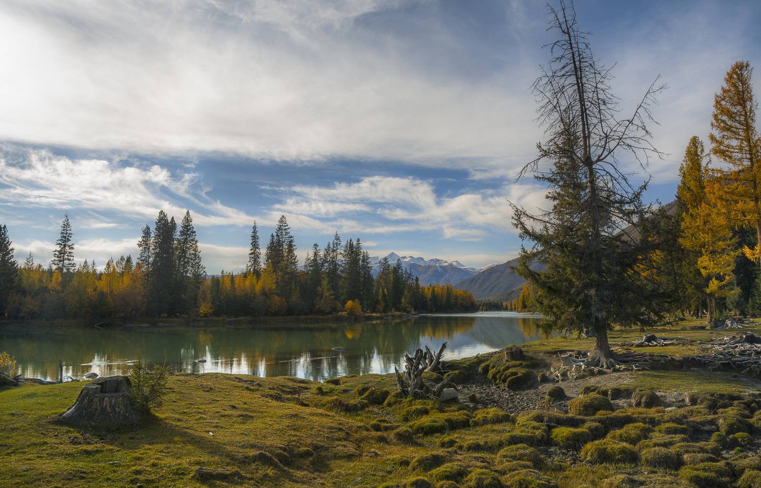 россия, горный алтай, река, осень, Андрей Поляков