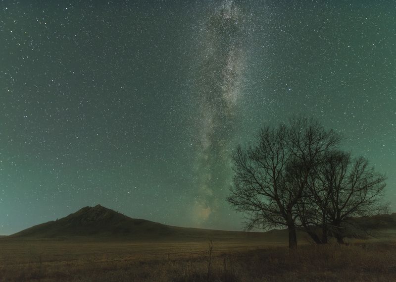 ночь, звезды, горы, деревья, млечный путь, алтай Алтайский край фото превью
