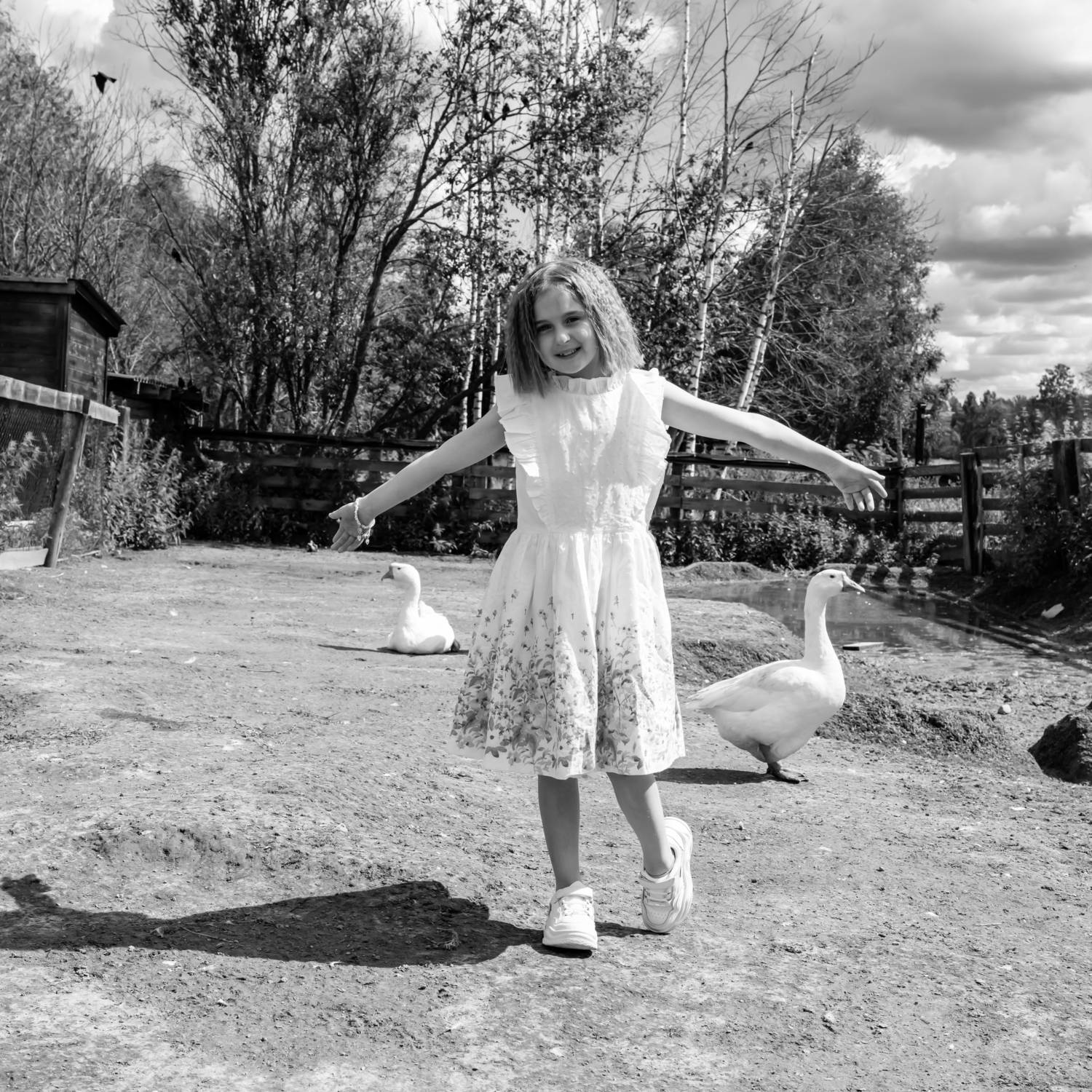 , Александр Шилов