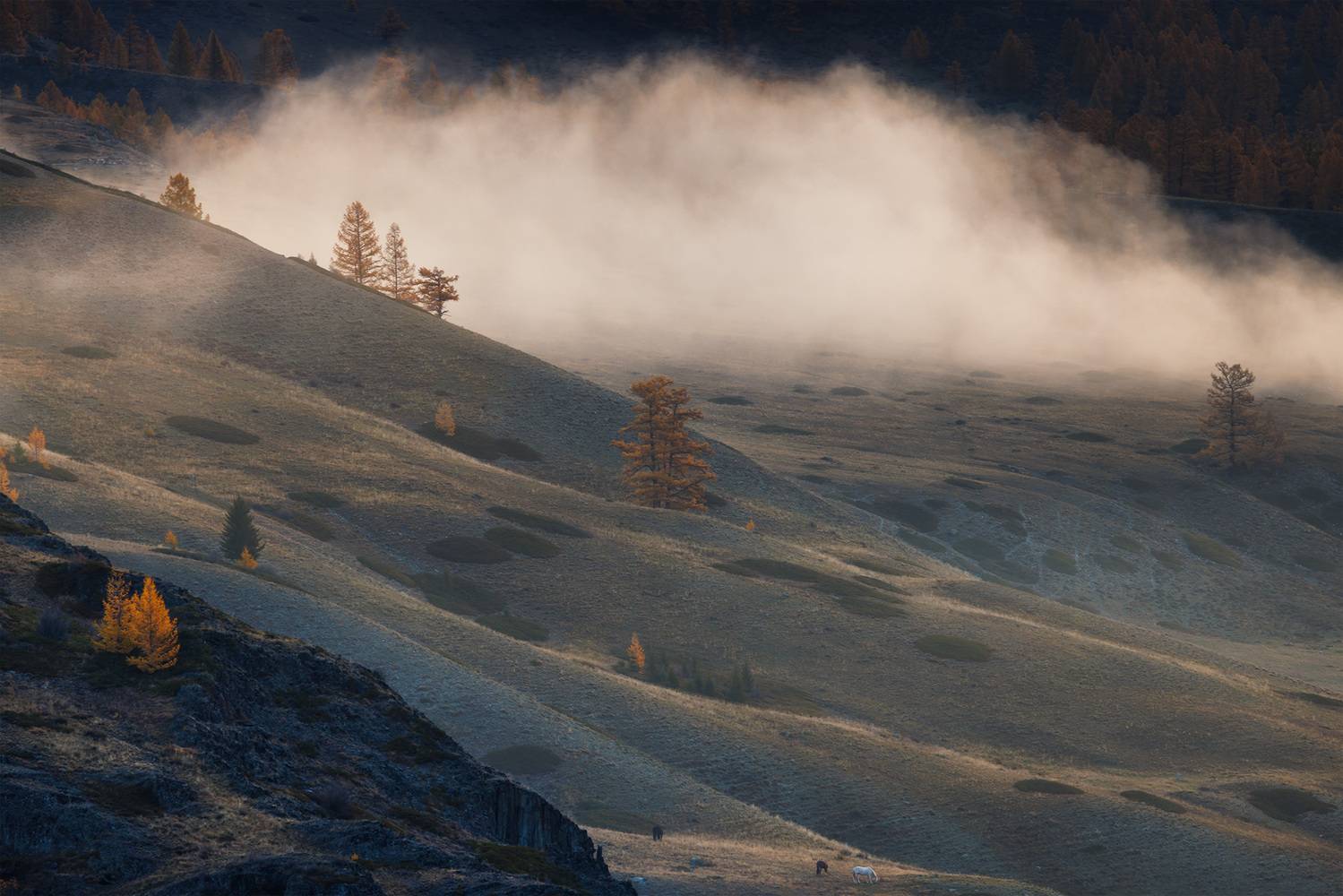 , Морозов Сергей