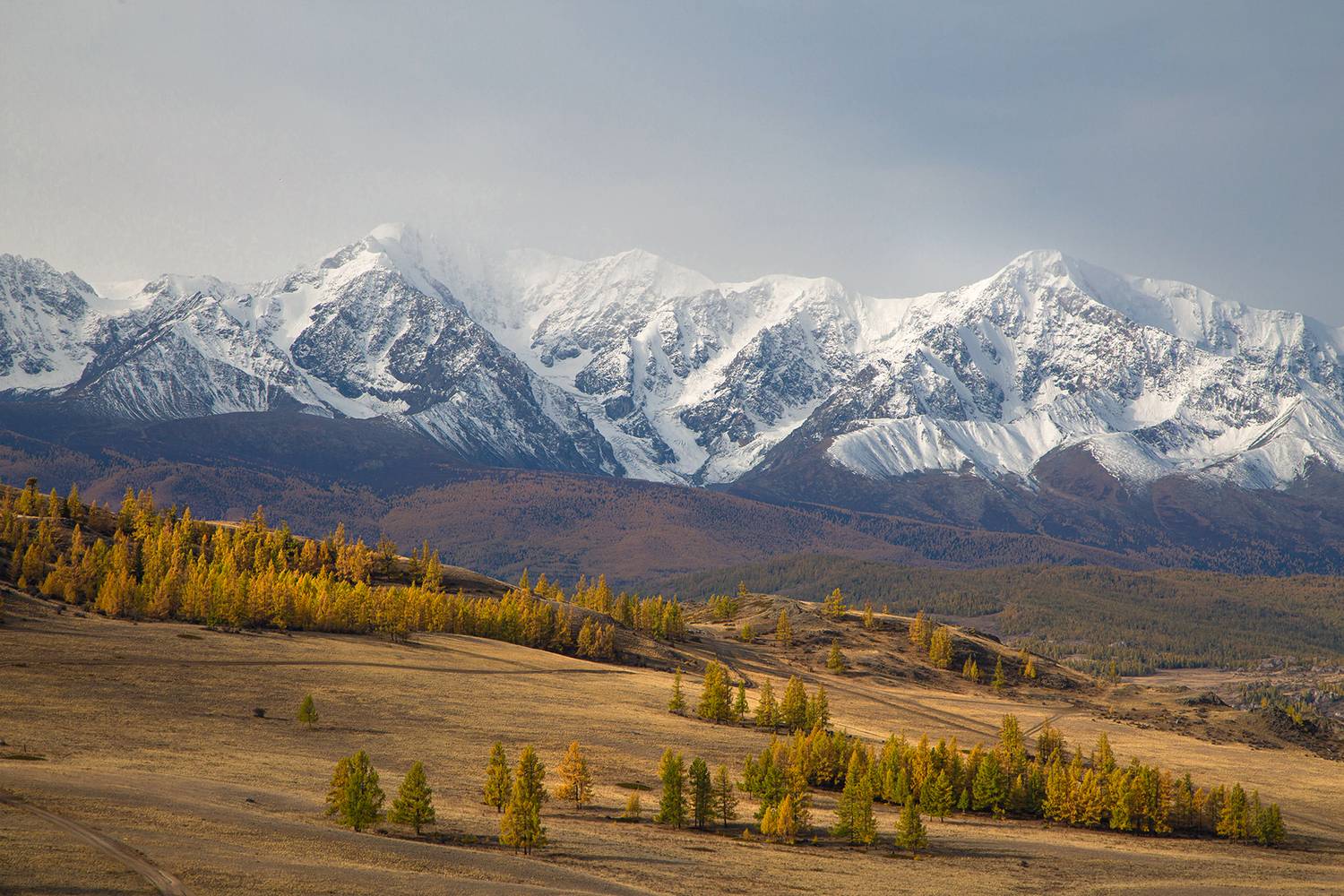 , Евгений Зинов