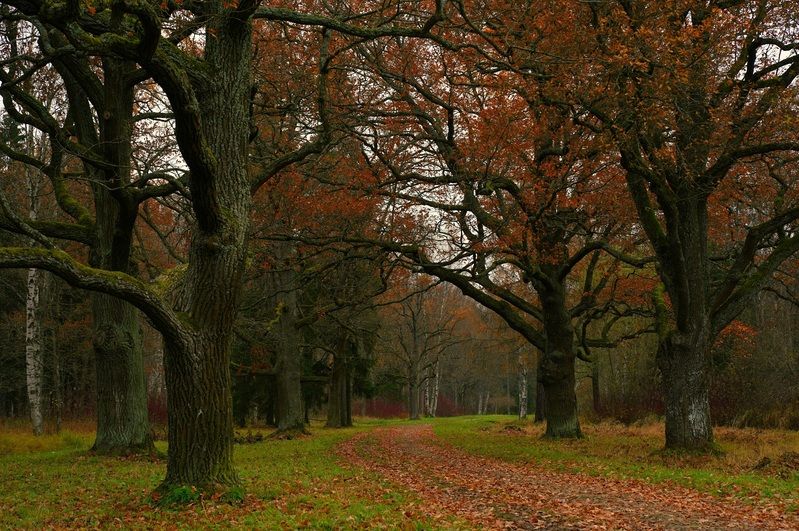 October фото превью