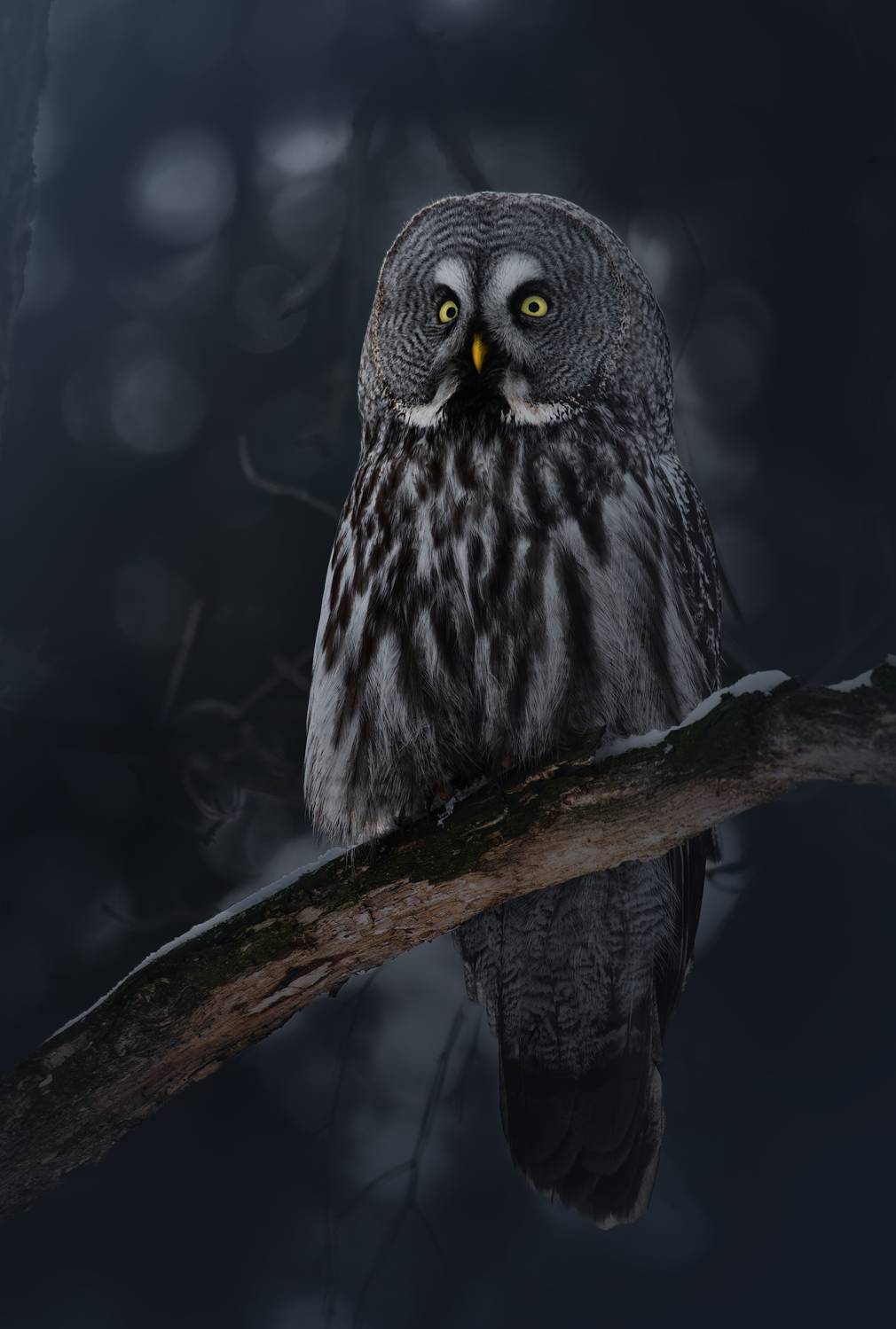 , Фото Александр