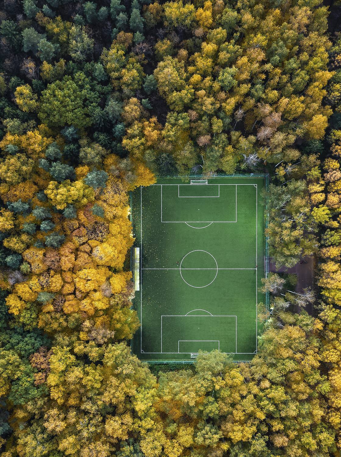 мещерский парк, осень, золотая осень, подмосковье, аэросъемка, топчанун, дронофотография, вид сверху, Игорь Юркин